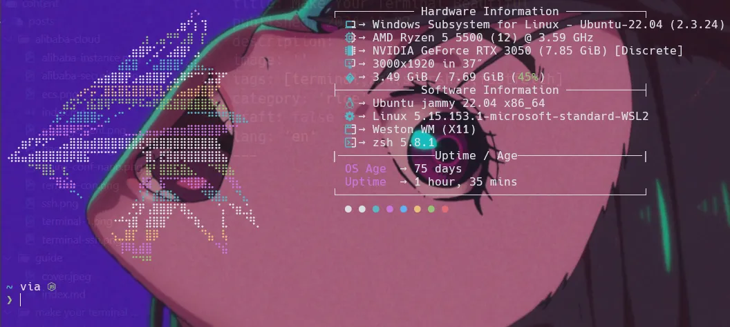 Cover Image of the Post